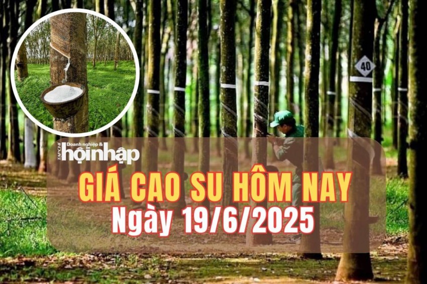 giá cao su