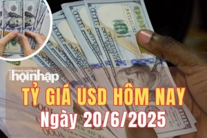 Tỷ giá USD hôm nay 20/6/2025: Tỷ giá trung tâm tăng, đồng USD thế giới giảm nhẹ