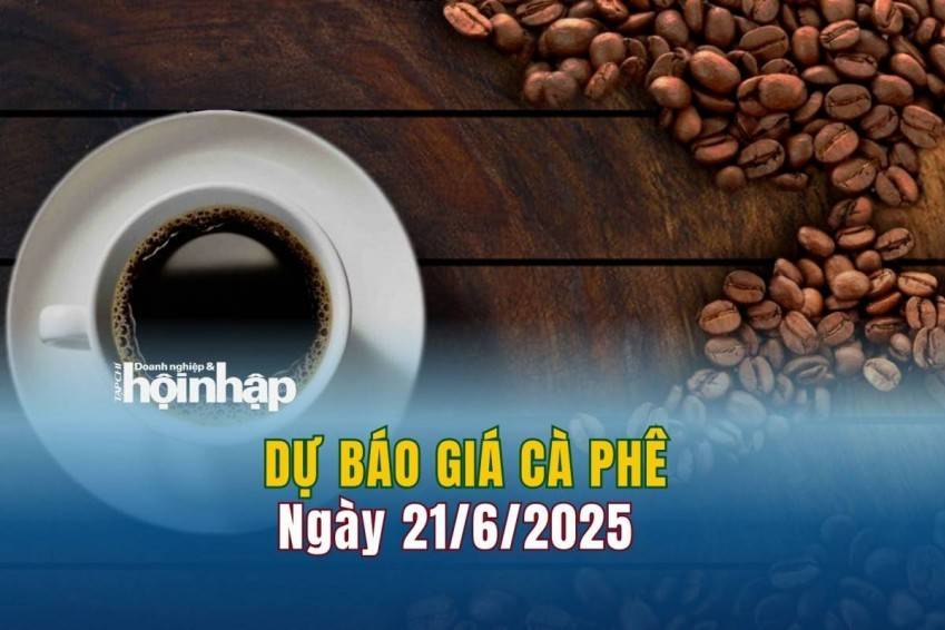 Dự báo giá cà phê 21/6: Giá cà phê trong nước tiếp đà "lao dốc"