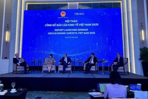 OECD đề xuất 4 ưu tiên chiến lược đột phá giúp Việt Nam tăng trưởng bền vững