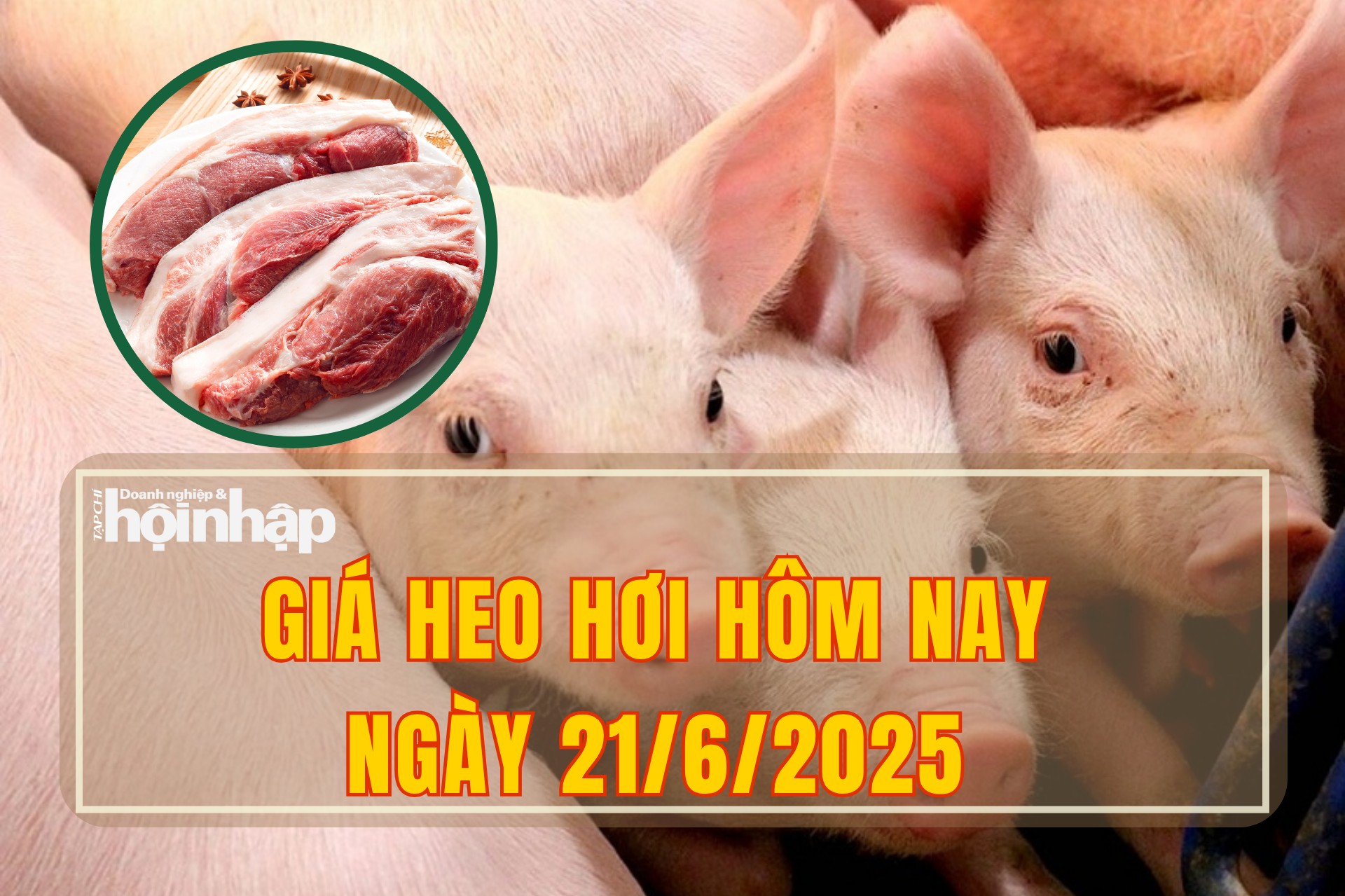 Giá heo hơi hôm nay 21/6/2025: 73.000 đồng/kg tiếp tục là mức giá cao nhất cả nước