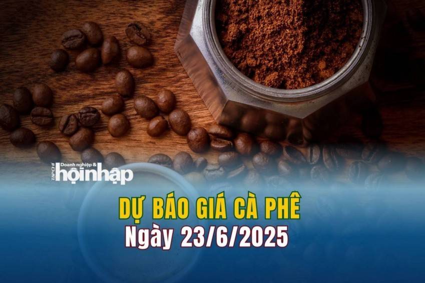 Dự báo giá cà phê 23/6: Giá cà phê trong nước có xu hướng giảm mạnh