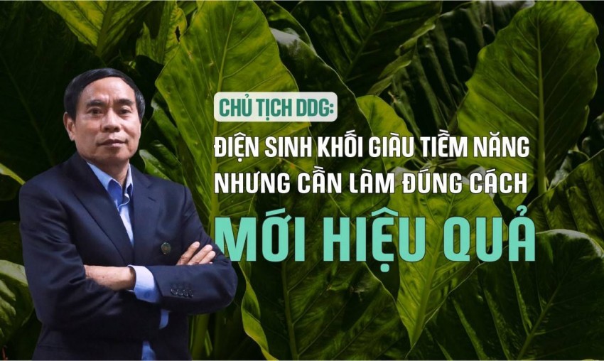 Xuất nhập khẩu Đông Dương và loạt vi phạm chứng khoán: Đằng sau tấm 