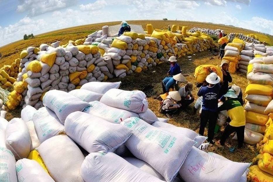 Định vị gạo Việt trên bàn ăn thế giới: Doanh nghiệp là lực đẩy của thương hiệu quốc gia