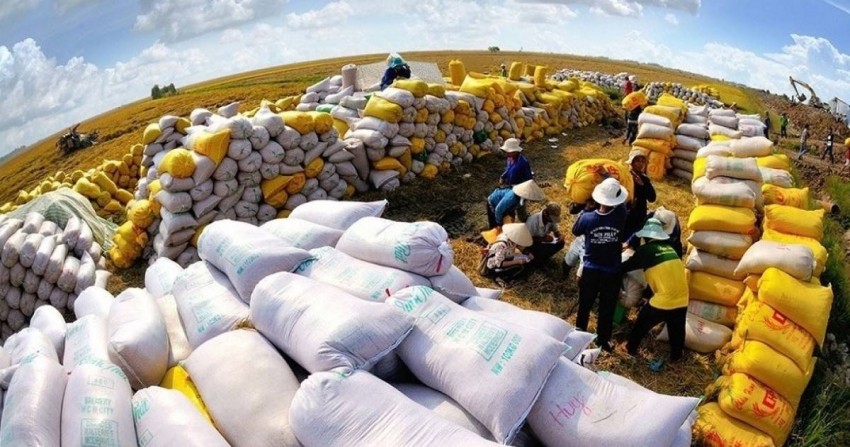 Định vị gạo Việt trên bàn ăn thế giới: Doanh nghiệp là lực đẩy của thương hiệu quốc gia