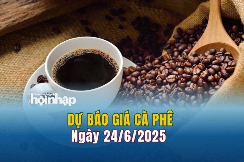Dự báo giá cà phê 24/6: Giá cà phê trong nước có xu hướng tăng vọt