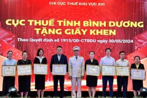Ngành thuế Bình Dương vượt chỉ tiêu nửa đầu năm