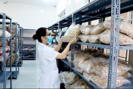 Bộ Y tế chỉ đạo chấn chỉnh hoạt động đấu thầu thuốc cổ truyền, dược liệu