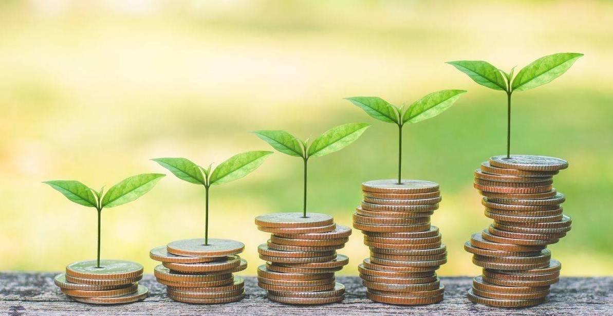 Gói hỗ trợ lãi suất 2% có giúp doanh nghiệp xanh vượt khó?