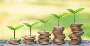 Gói hỗ trợ lãi suất 2% có giúp doanh nghiệp xanh vượt khó?