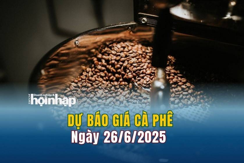 Dự báo giá cà phê 26/6: Giá cà phê trong nước đảo chiều "rớt" mạnh