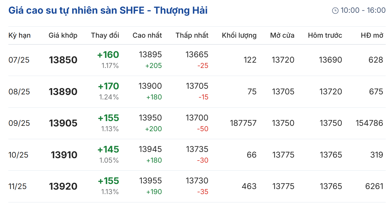 Giá cao su hôm nay 26/6/2025: Giá cao su trong nước giảm nhẹ