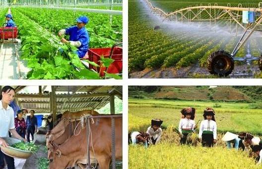 Tổng điều tra nông thôn, nông nghiệp năm 2025 rộng khắp cả nước