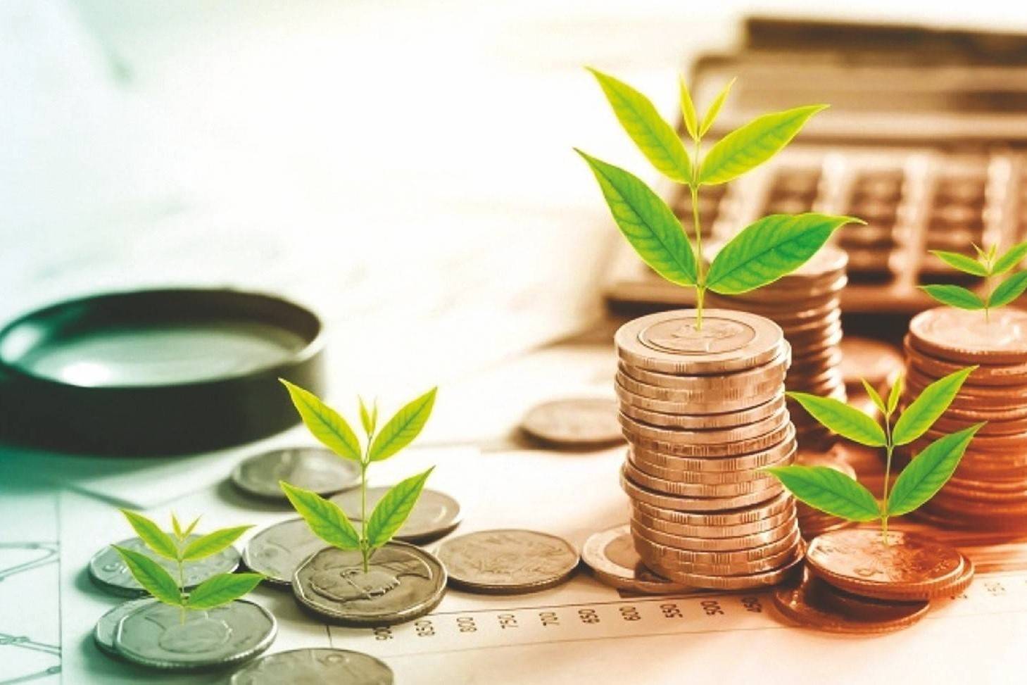 Trái phiếu xanh: Cơ hội vàng để Việt Nam đạt mục tiêu Net Zero