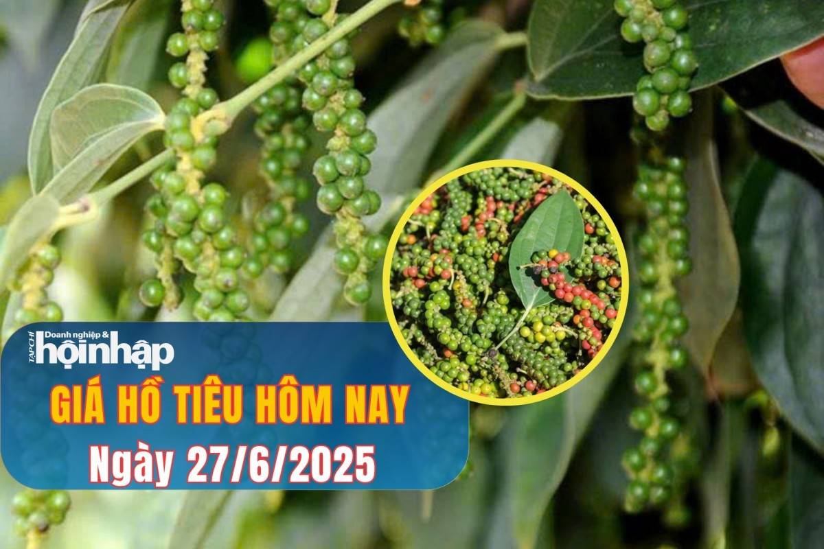 Giá tiêu hôm nay 26/6/2025: Giá tiêu bất ngờ tăng nhẹ trở lại Giá tiêu hôm nay 26/6/2025: Giá tiêu bất ngờ tăng nhẹ trở lại