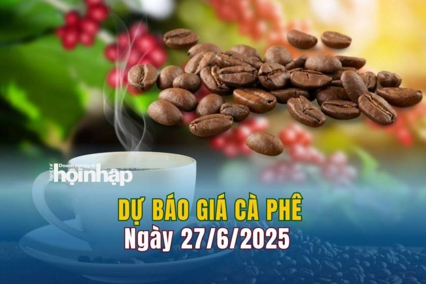 Dự báo giá cà phê 27/6: Giá cà phê trong nước "lao dốc"