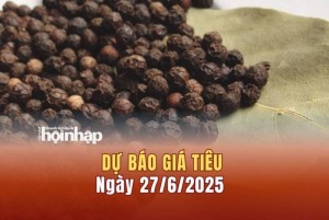 Dự báo giá tiêu 27/6: Giá tiêu trong nước tiếp tục "bật" tăng mạnh
