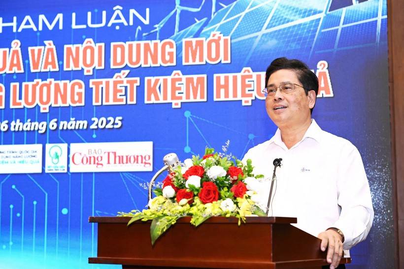 ông Võ Quang Lâm - Phó Tổng giám đốc Tập đoàn Điện lực Việt Nam