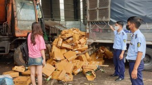 Hà Nội: Hơn 2,5 tấn nấm kim châm hết hạn bị tiêu hủy