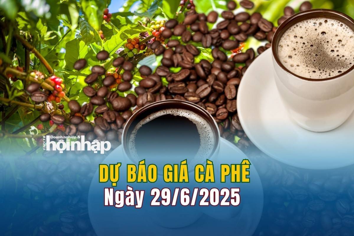Dự báo giá cà phê 29/6: Giá cà phê trong nước có xu hướng tăng nhẹ