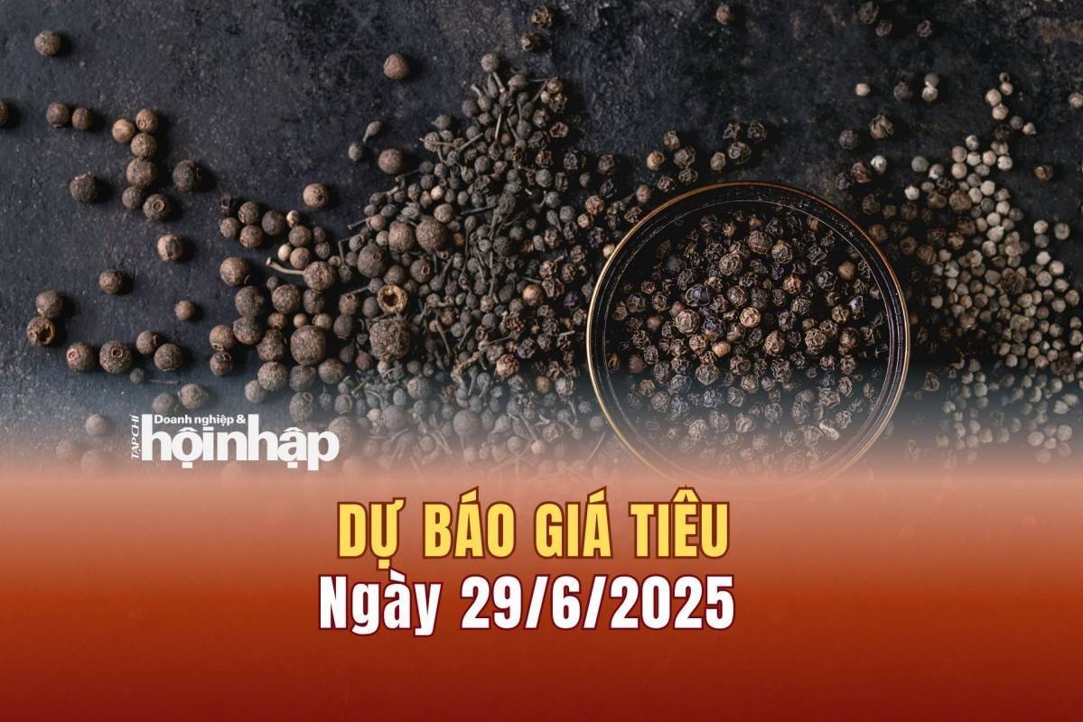 Dự báo giá tiêu 29/6: Giá tiêu trong nước liên tiếp bật tăng mạnh