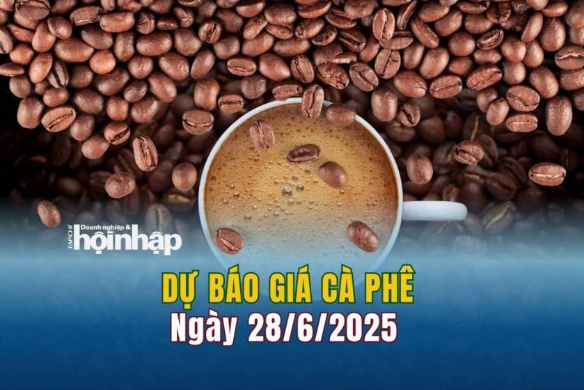 Dự báo giá cà phê 28/6: Giá cà phê trong nước đảo chiều tăng vọt
