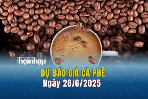 Dự báo giá cà phê 28/6: Giá cà phê trong nước đảo chiều tăng vọt