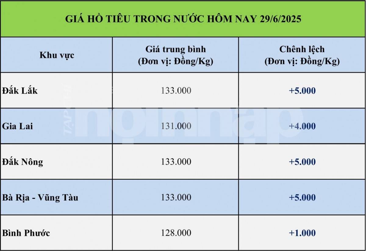 Giá tiêu hôm nay 28/6: Giá tiêu trong nước nhích nhẹ Giá tiêu hôm nay 28/6: Giá tiêu trong nước nhích nhẹ