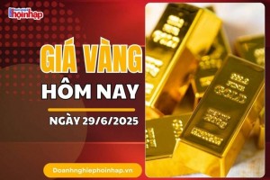 Giá vàng hôm nay 29/6: Vàng nhẫn tiếp tục "lao dốc", lùi về mốc 113 triệu đồng/lượng