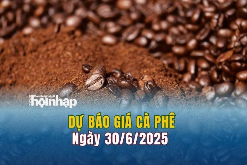 Dự báo giá cà phê 30/6: Giá cà phê trong nước tiếp đà tăng