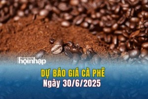 Dự báo giá cà phê 30/6: Giá cà phê trong nước tiếp đà tăng