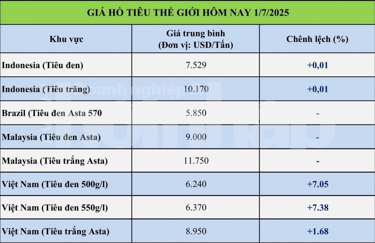 Giá tiêu hôm nay 30/6: Giá tiêu trong nước và thế giới ổn định Giá tiêu hôm nay 30/6: Giá tiêu trong nước và thế giới ổn định