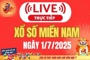 TRỰC TIẾP: Kết quả Xổ số miền Nam hôm nay 1/7/2025 - XSMN 1/7 - XSMN thứ Ba cập nhật mới nhất