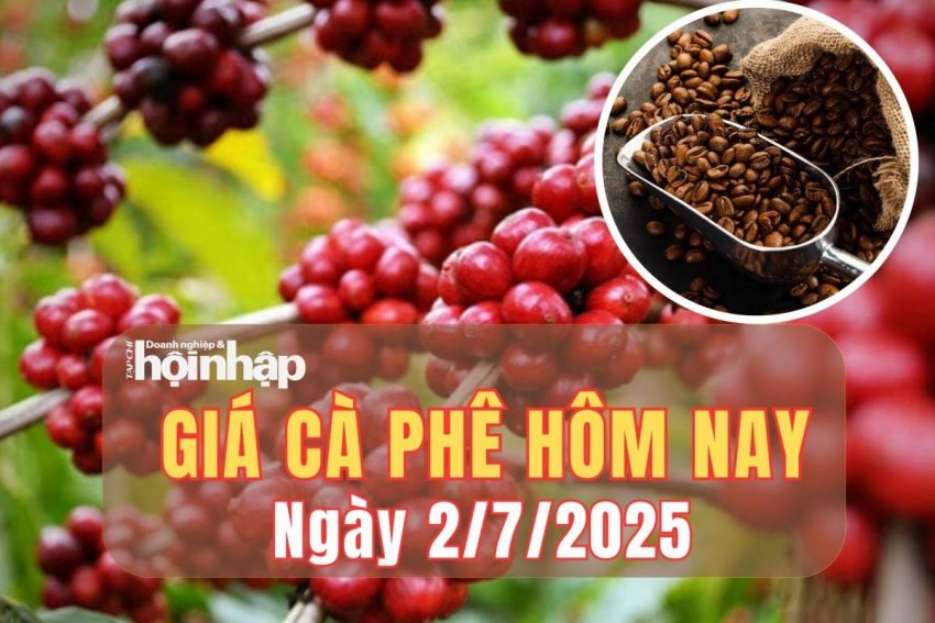 Giá cà phê hôm nay 2/7/2025: Giá cà phê trong nước tiếp tục tăng nhẹ