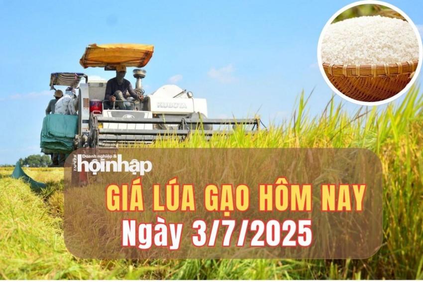 giá lúa gạo