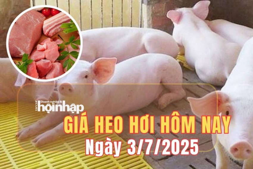 giá heo hơi