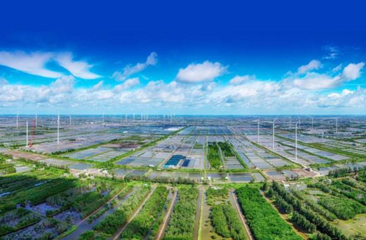 Doanh nghiệp cũng có trách nhiệm trong tiêu dùng bền vững