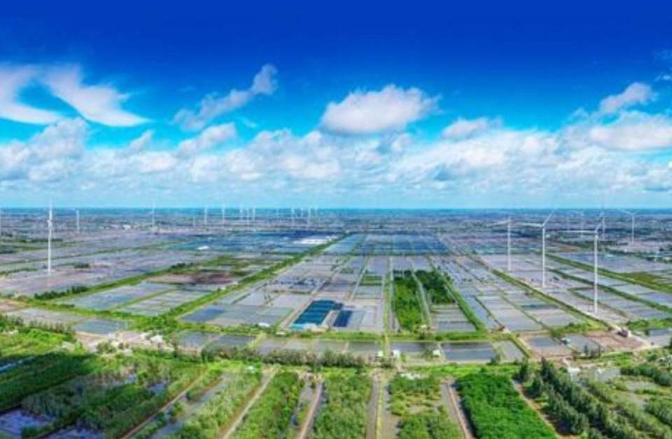Tiêu dùng bền vững: Tấm vé “thông hành” cho doanh nghiệp