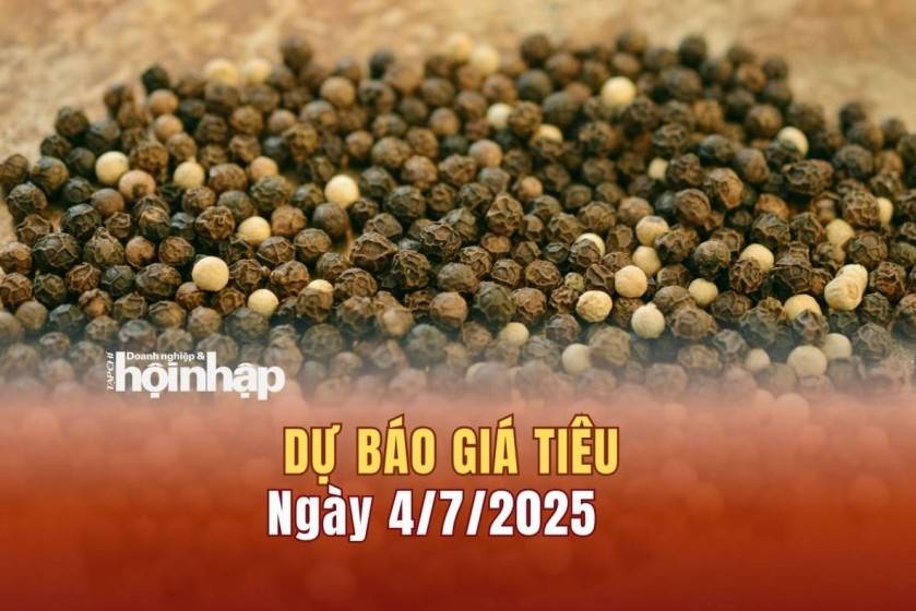 Dự báo giá tiêu 4/7: Giá tiêu trong nước "quay xe" giảm mạnh