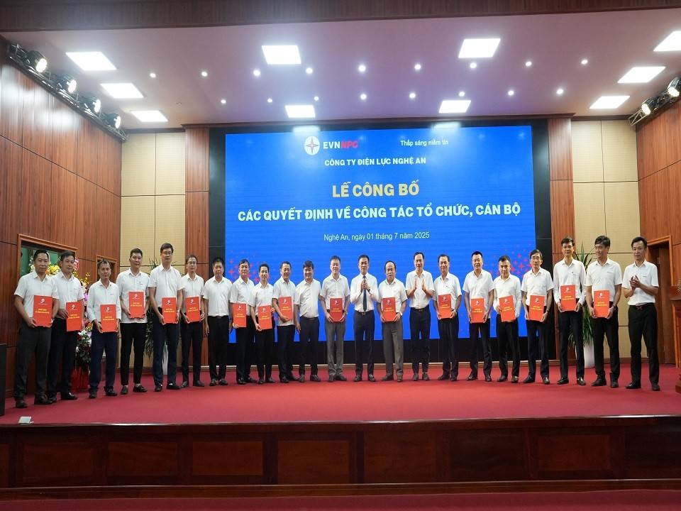 Các Đội trưởng Đội QLĐLKV nhận nhiệm vụ