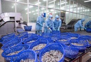 Doanh nghiệp thủy sản "xoay sở" ra sao trước hạn áp thuế quan của Mỹ?