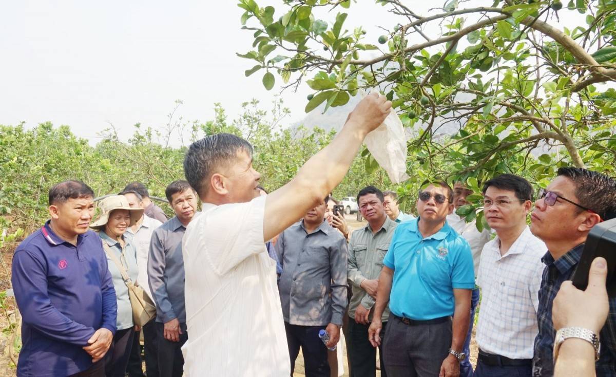 Sơn La tăng cường hợp tác nông nghiệp với các tỉnh Bắc Lào