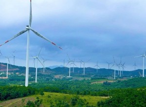 Năng lượng tái tạo và bài toán thể chế: Cần một lối ra hài hòa