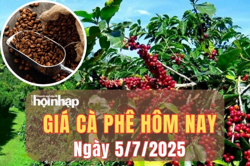 Giá cà phê hôm nay 5/7/2025: Giá cà phê trong nước tăng nhẹ