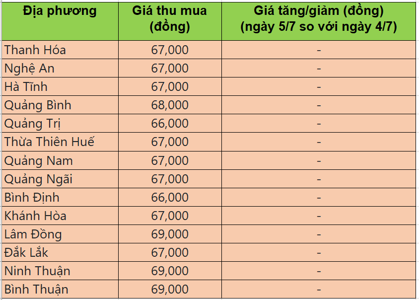 Bảng giá heo hơi tại miền Trung - Tây nguyên hôm nay 5/7/2025