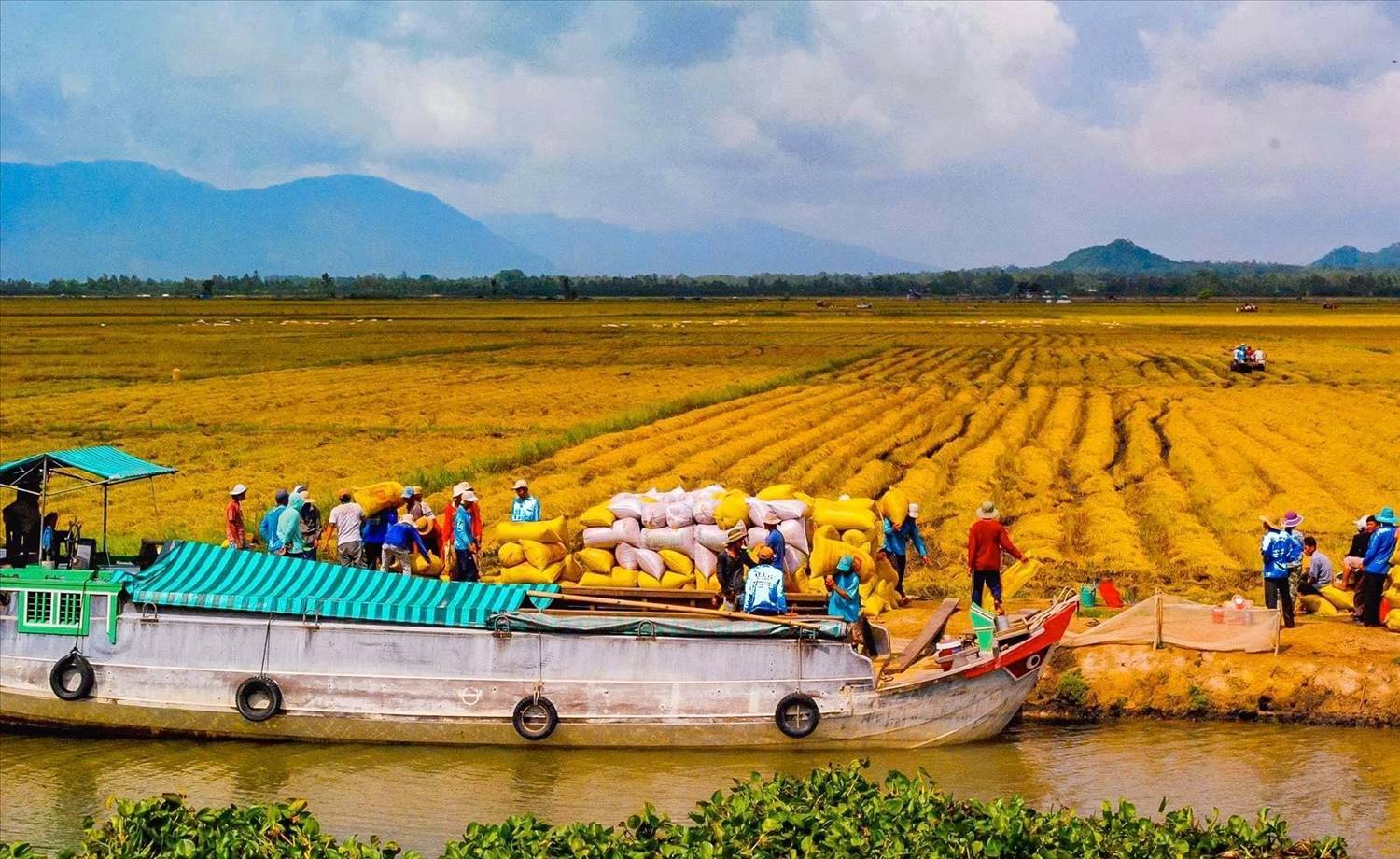 ĐBSCL với tốc độ đô thị hóa nhanh, chịu ảnh hưởng hệ lụy của thành tựu khoa học