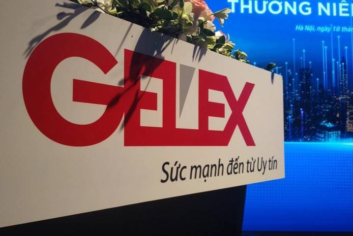 Tập đoàn GELEX mở công ty con chuyên tư vấn đầu tư, vốn điều lệ 100 tỷ đồng