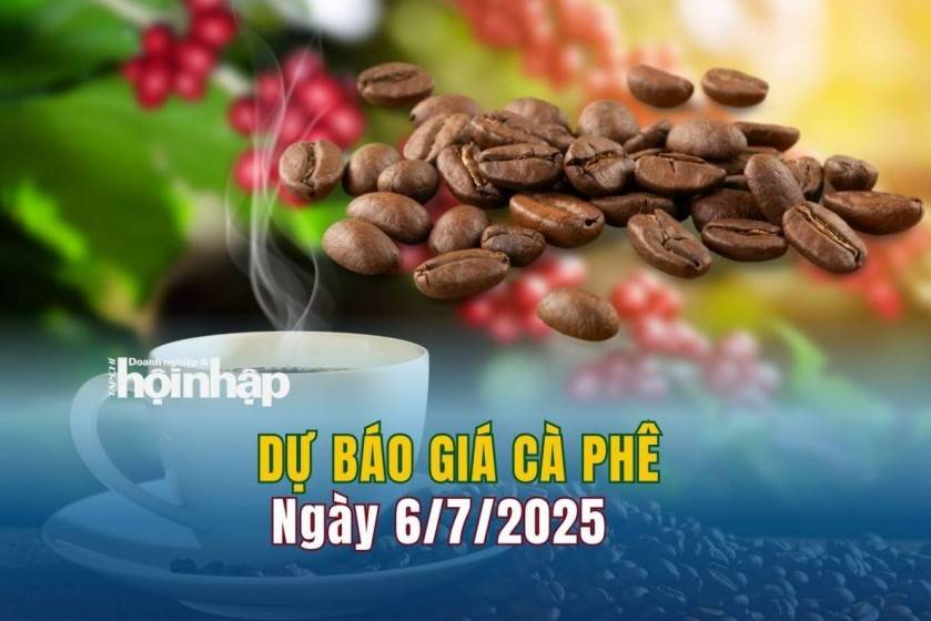 Dự báo giá cà phê 6/7: Giá cà phê trong nước tiếp đà "bật" tăng