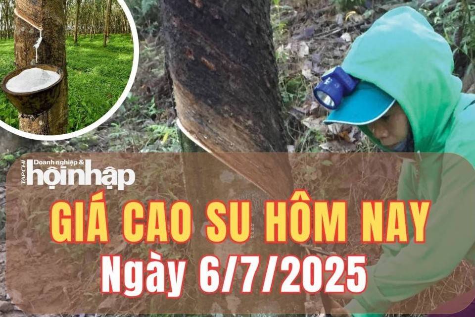 Giá cao su hôm nay 6/7/2025: Tuần qua, giá cao su thế giới tăng nhẹ