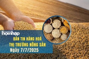Thị trường nhóm nông sản 7/7: Giá lúa mì đồng loạt giảm, ngô và đậu tương tăng nhẹ nhờ chốt lời